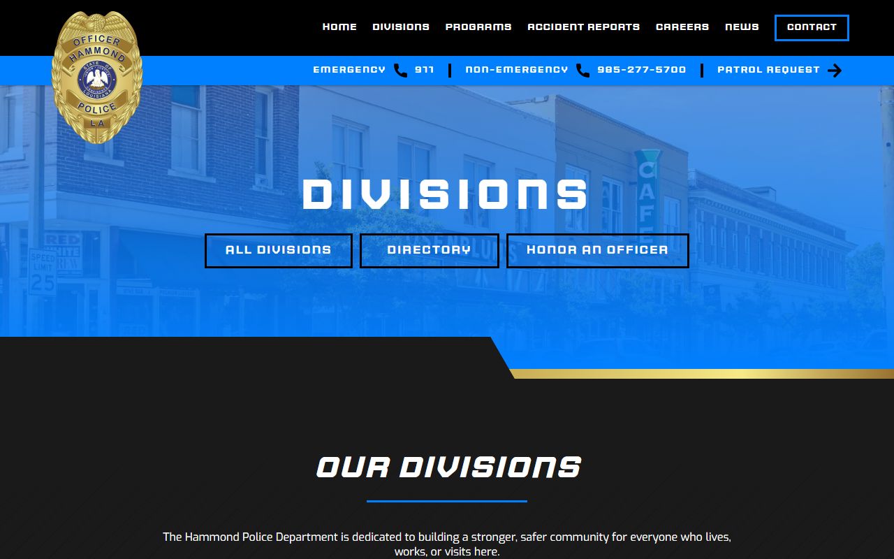 Hammond Police Divisions arrest records